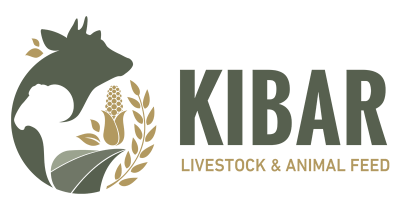 Kibar livestock