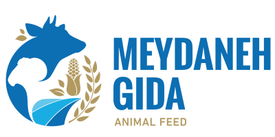 MEYDANEH GIDA